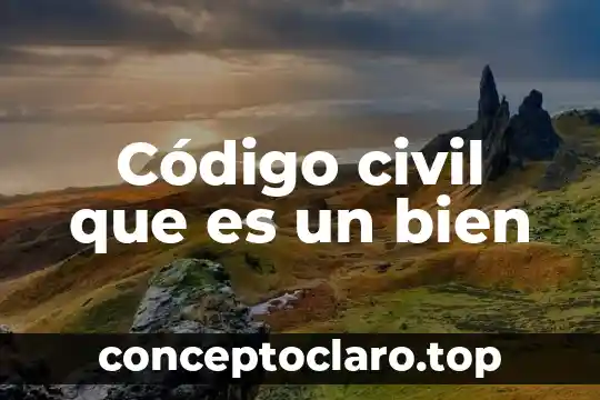 Que es impi puede registrar nombre de asociacion civil 3 Código civil que es un bien