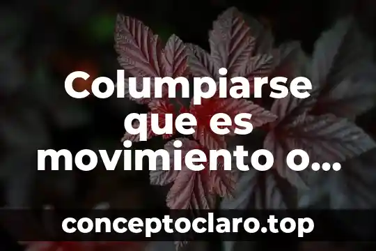 Columpiarse que es movimiento o reposo
