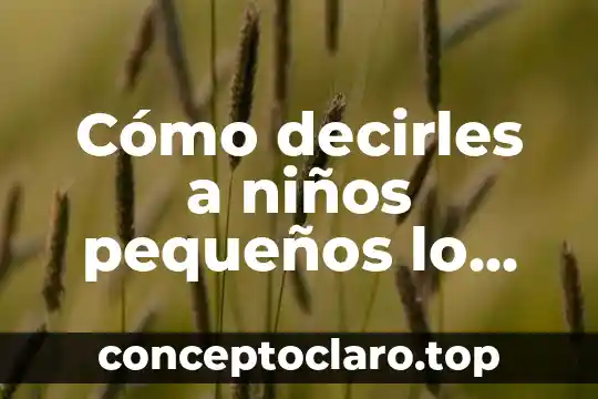 Explicación de lo que es el Sol para niños 5 Cómo decirles a niños pequeños lo que es el inglés