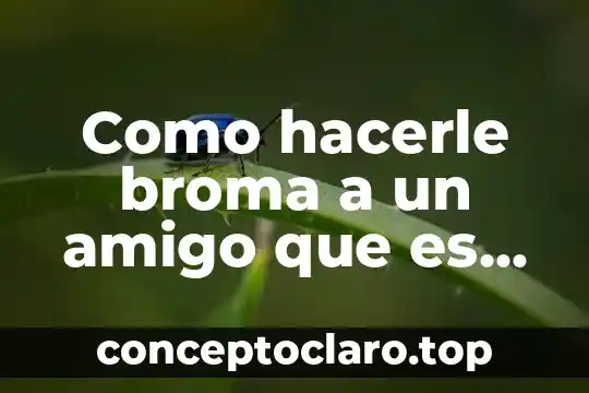 Wimmount que es 7 Como hacerle broma a un amigo que es ridiculamente cursi