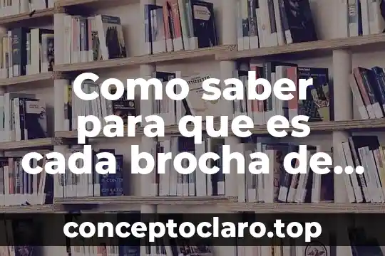 Como saber para que es cada brocha de maquillaje