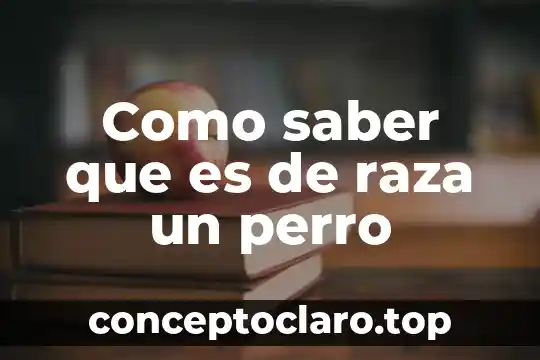 Por que es importnte saber de los meteoritos 7 Como saber que es de raza un perro