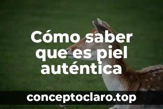 Cómo saber que es piel auténtica