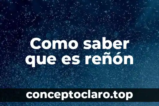 Qué es la vida jurídica concepto 4 Como saber que es reñón