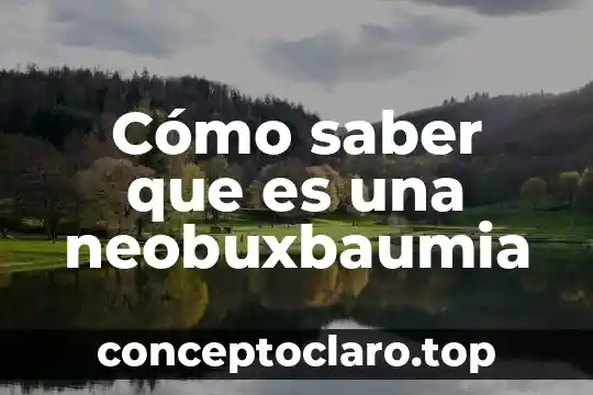 Como saber que es una señal del universo 7 Cómo saber que es una neobuxbaumia