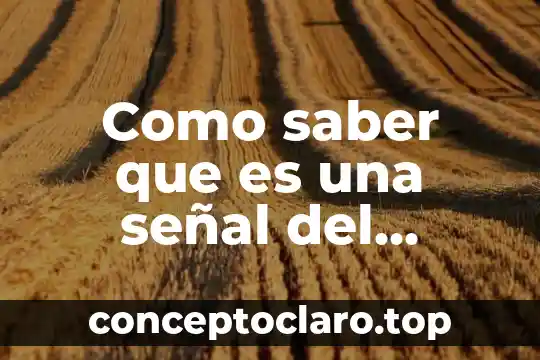 Por que es importante saber sobre la tortura 3 Como saber que es una señal del universo