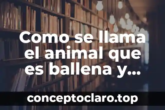 Como se llama el animal que es ballena y delfin