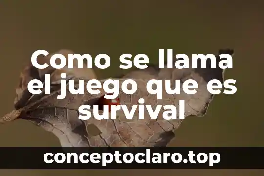 Como se llama el juego que es survival