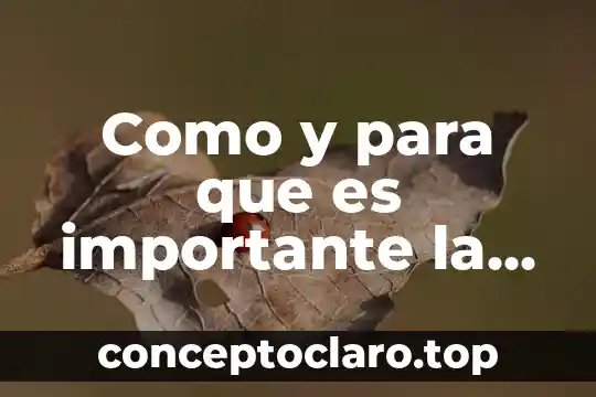 Como y para que es importante la electricidad