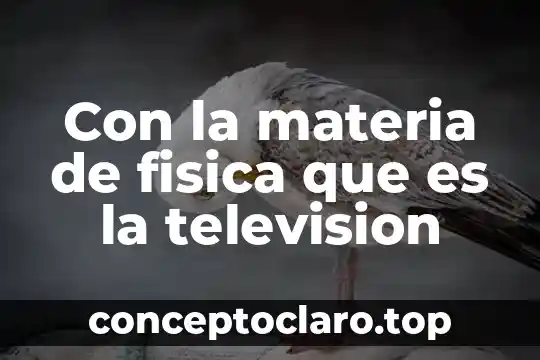 Qué es el número de serie de una televisión 7 Con la materia de fisica que es la television