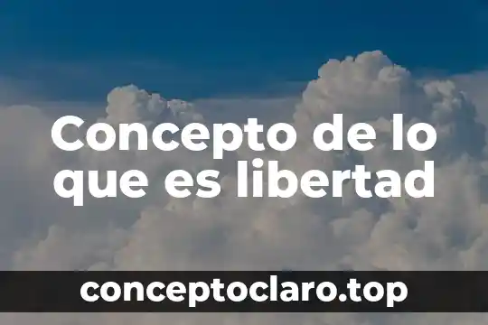Concepto de lo que es libertad