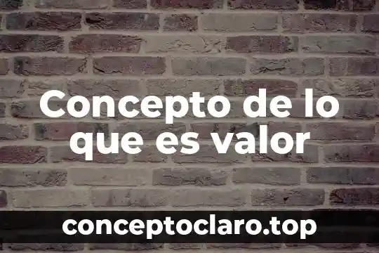 Concepto de lo que es valor