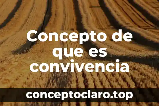 Concepto de que es convivencia