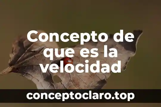 Concepto de que es la velocidad