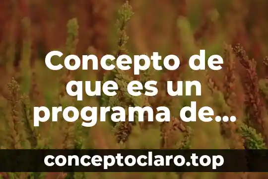 Concepto de que es un programa de comunicacion social scielo