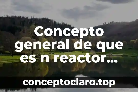 Concepto general de que es n reactor quimico