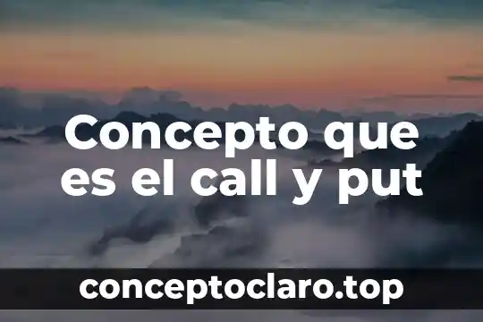 Concepto que es el call y put