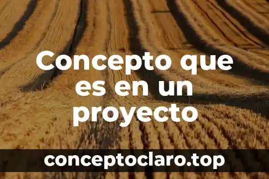 Concepto que es en un proyecto
