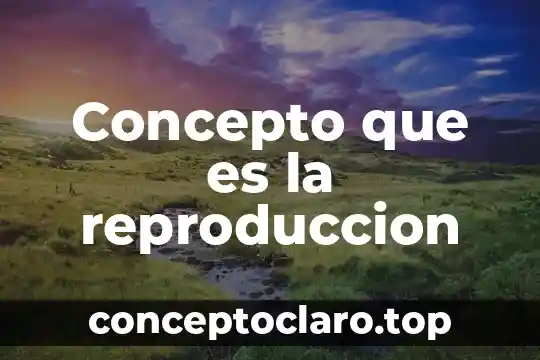 Concepto que es la reproduccion
