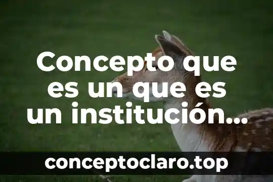 Concepto que es un que es un institución social