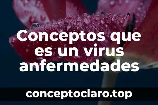Conceptos que es un virus anfermedades