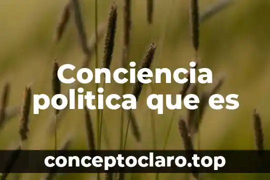 Conciencia politica que es