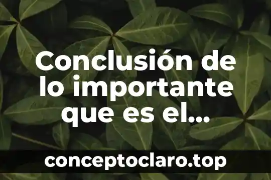 Conclusión de lo importante que es el desarrollo sustentable
