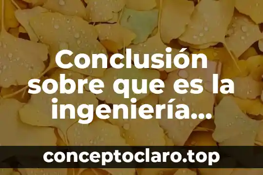 Conclusión sobre que es la ingeniería industrial