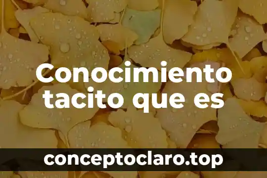 Conocimiento tacito que es