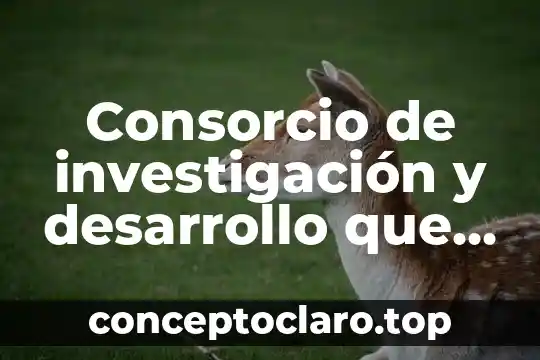 Consorcio de investigación y desarrollo que es