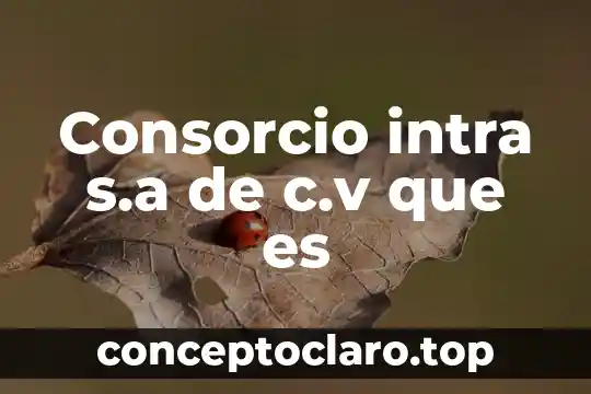 Consorcio intra s.a de c.v que es