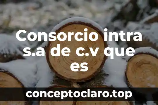 Consorcio intra s.a de c.v que es