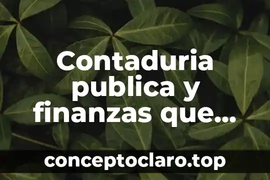 Que es el mercado de dinero en finanzas 6 Contaduria publica y finanzas que es