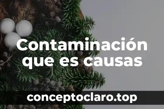 Contaminación que es causas