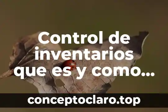 Sistema de acomulación de costos que es sistema de inventarios 6 Control de inventarios que es y como hacer