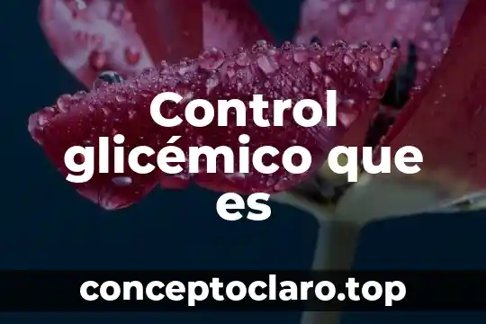 Control glicémico que es