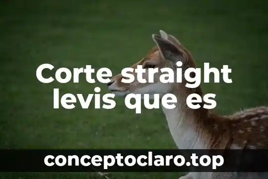 Corte straight levis que es