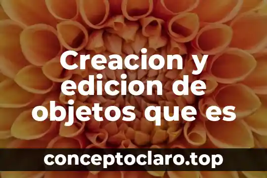 Creacion y edicion de objetos que es