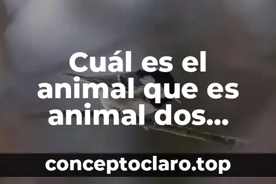 Cual es el animal que es dos veces animal 5 Cuál es el animal que es animal dos veces adivinanza