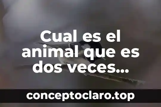 Cual es el animal que es dos veces animal 4 Cual es el animal que es dos veces nimal