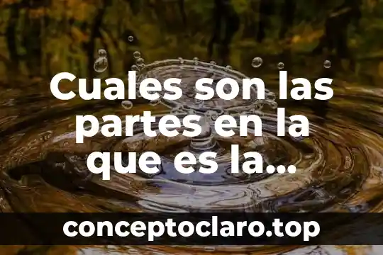 Cuales son las partes en la que es la biodiversidad