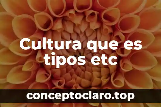 Cultura que es tipos etc