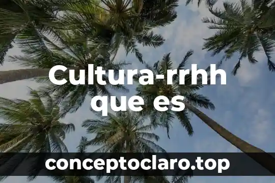 Que es gerontologia educativa 3 Cultura-rrhh que es