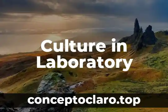 Culture in Laboratory