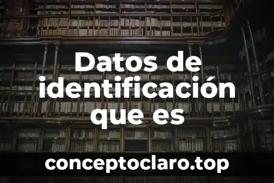 Qué es número de identificación de la auditoría 8 Datos de identificación que es