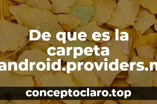 De que es la carpeta com.android.providers.media