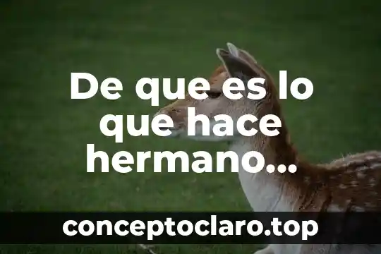 De que es lo que hace hermano mayor
