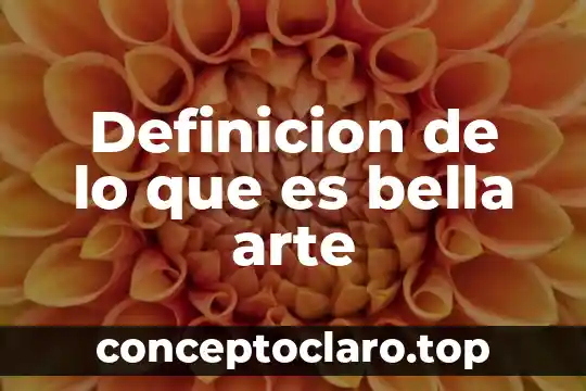 Definicion de lo que es bella arte
