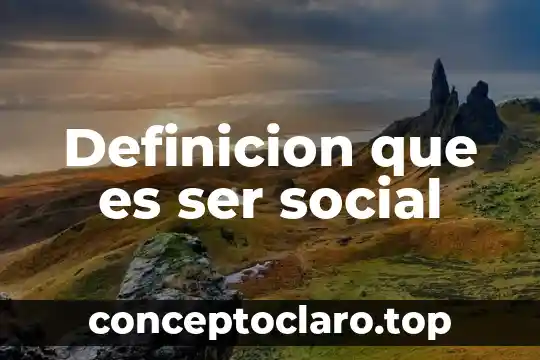 Definicion que es ser social