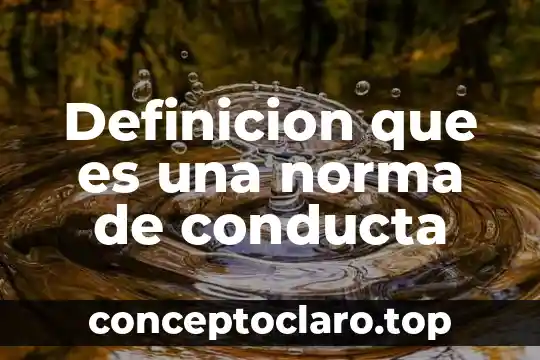 Definicion que es una norma de conducta